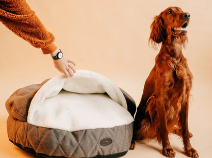 COVER  Memory Foam