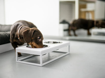 Ceramic Dog Bowl Ceramic Bowl