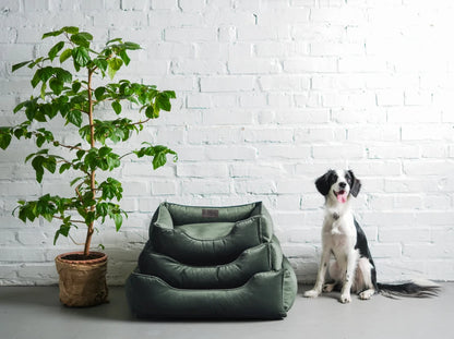 Dog Bed Dreamer Velour Graphite