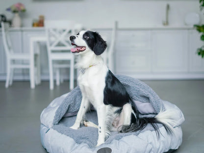 COVER  Memory Foam
