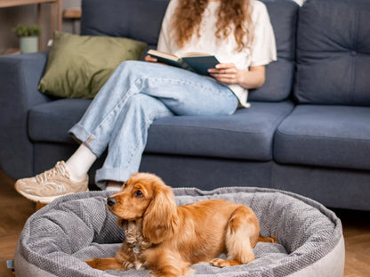 Oval Dog Bed Donut Ocean
