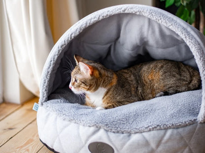 COVER Memory Foam