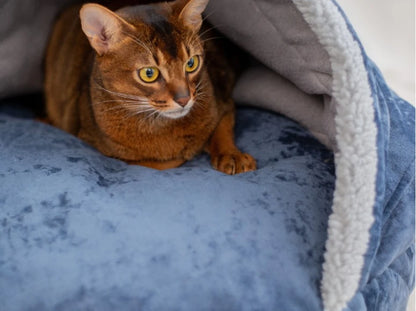 COVER Plush Memory Foam