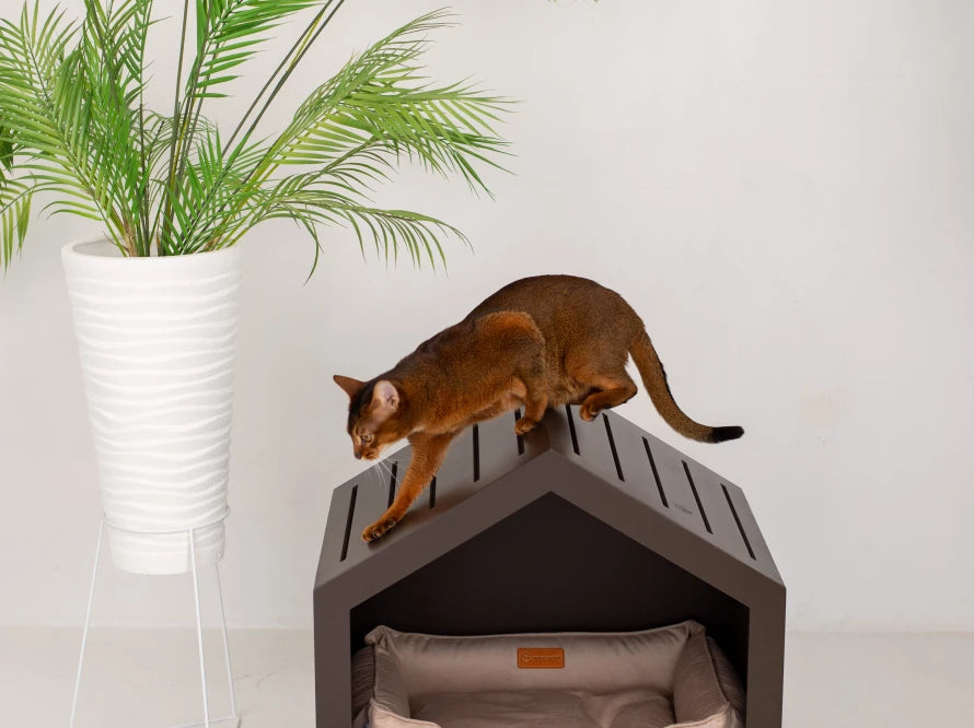 Shelter Braun Velours#Beige