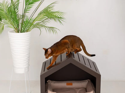 Shelter Braun Velours#Beige