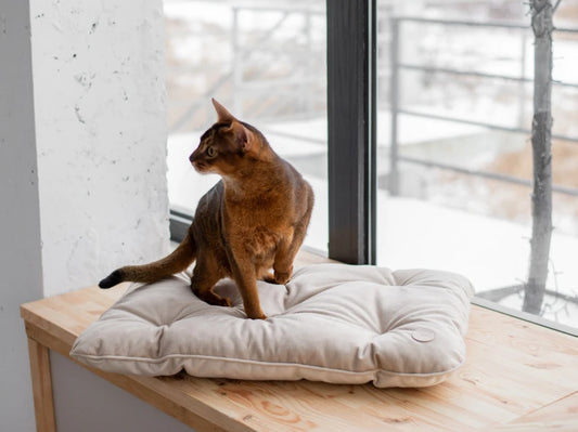 TOMAS Velour Kissen#Grau