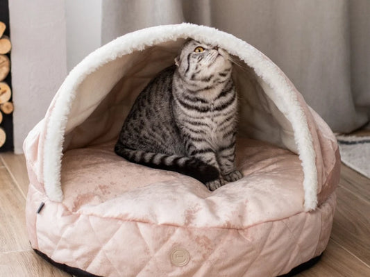 COVER Plush Memory Foam