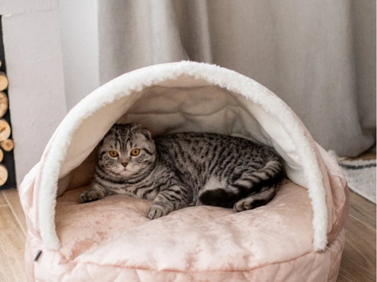 Cat Cave Cover Plush
