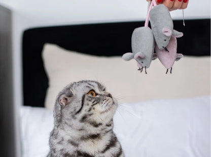 MOUSE MARIA