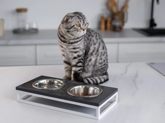 LUNCH BAR Stone#Schwarz