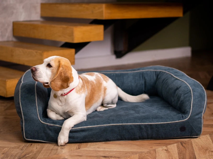 Hundesofa SLEEPER aus Möbelvelour#Blau