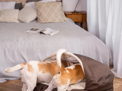 COVER  Memory Foam