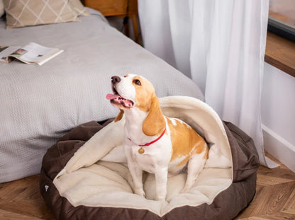 COVER  Memory Foam