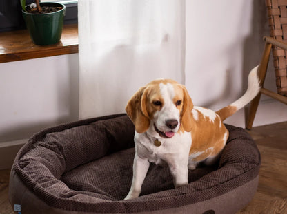 Oval Dog Bed Donut Ocean