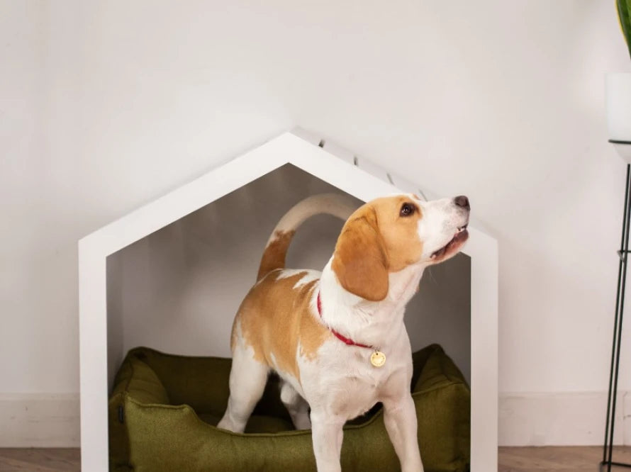 Shelter Weiß Strukturgewebe#Olive