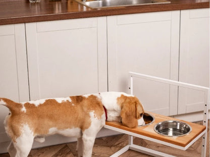 Ceramic Dog Bowl Ceramic Bowl