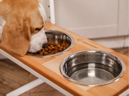 Ceramic Dog Bowl Ceramic Bowl