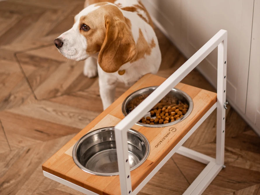 Ceramic Dog Bowl Ceramic Bowl