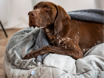 COVER Plush Memory Foam