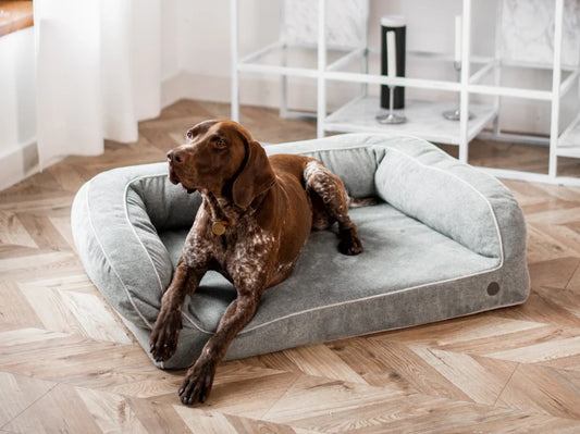 SLEEPER  Sofa