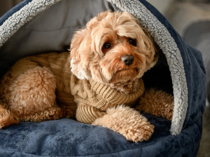 COVER Plush Memory Foam