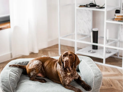 SLEEPER  Sofa