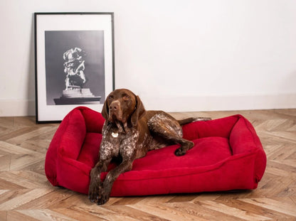 DOG BED DREAMER VELVET Yellow