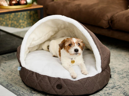 COVER  Memory Foam