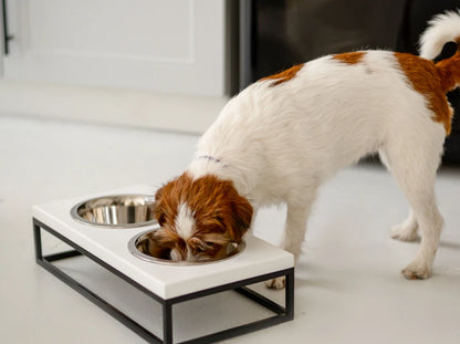 Ceramic Dog Bowl Ceramic Bowl