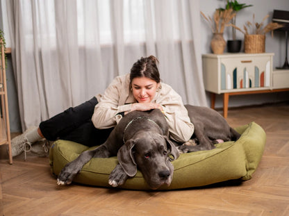 SOFA dog bed