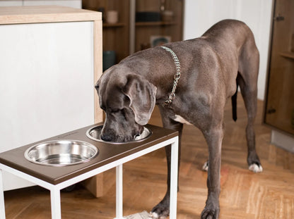 Ceramic Dog Bowl Ceramic Bowl