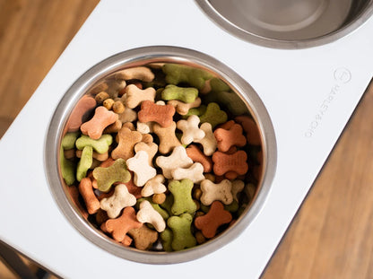 Ceramic Dog Bowl Ceramic Bowl