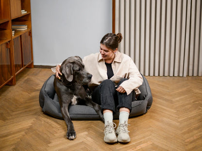 SOFA dog bed