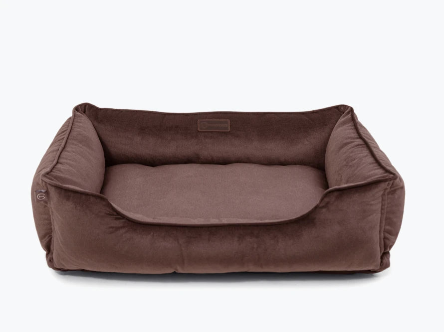 DREAMER Velour#Braun