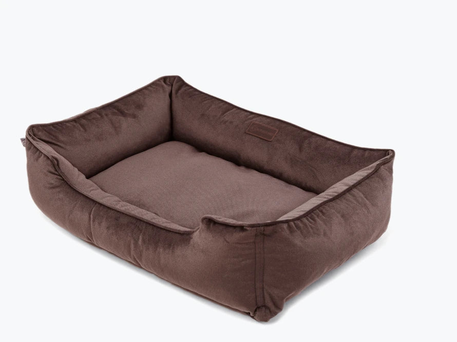 DREAMER Velour#Braun