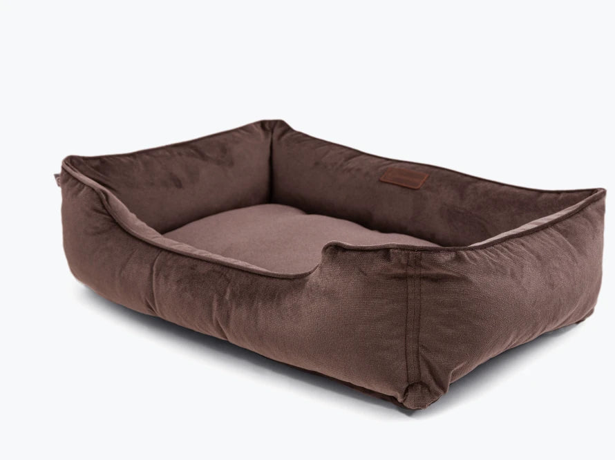 DREAMER Velour#Braun