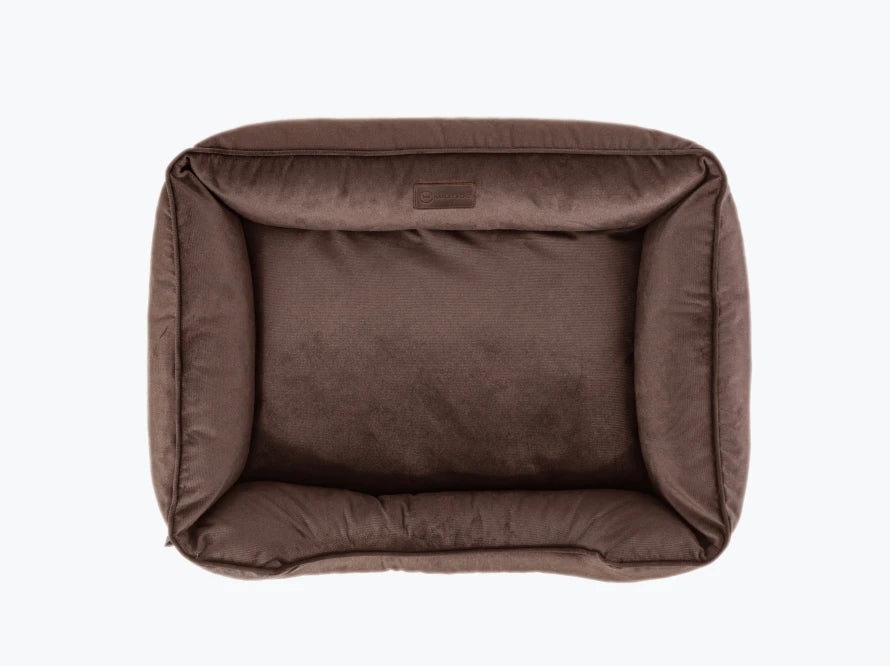 DREAMER Velour#Braun