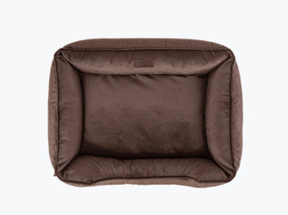 DREAMER Velour#Braun