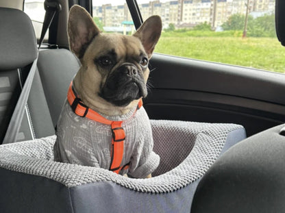 DISCOVERY dog car seat
