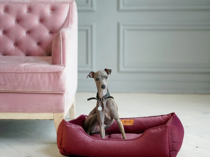 Dog Bed Dreamer Velour Graphite