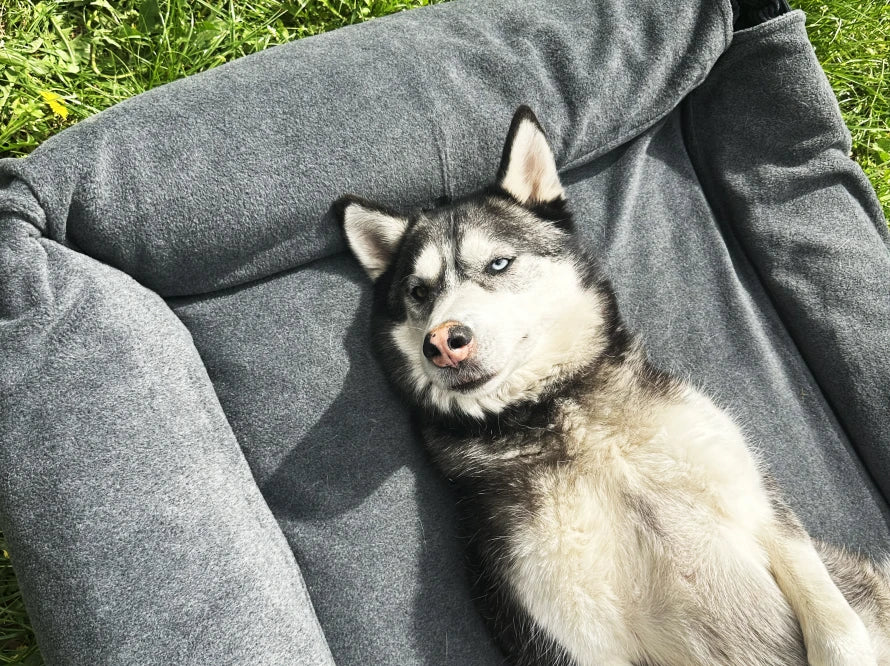 BETTWASCHE Vliesstoff für DREAMER#Graphite