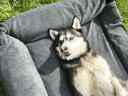 BETTWASCHE Vliesstoff für DREAMER#Graphite