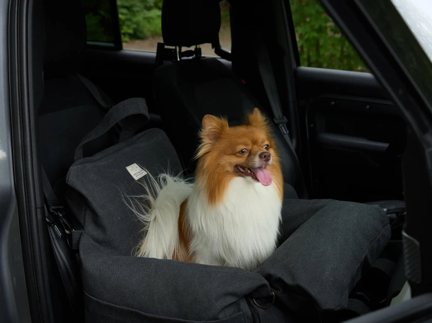 BUGGY MOKKO Car seat for dogs made of faux leather and furniture velour for miniature and small dogs / Dog carrier bag / Waterproof / Premium