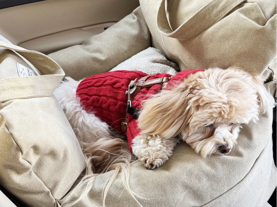 BUGGY MOKKO Car seat for dogs made of faux leather and furniture velour for miniature and small dogs / Dog carrier bag / Waterproof / Premium