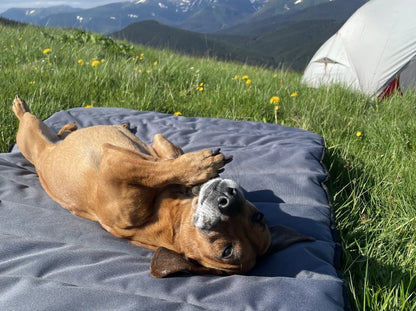 ROLL travel bed