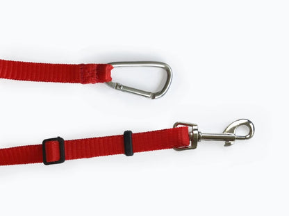 leash in the dog car seat Discovery