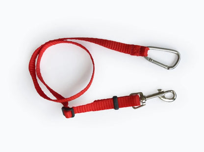 leash in the dog car seat Discovery