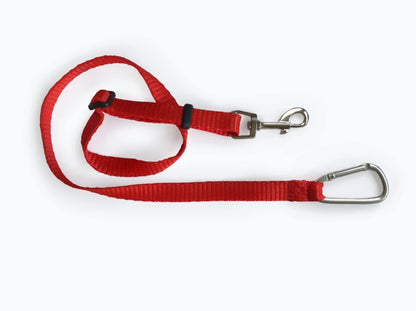 leash in the dog car seat Discovery