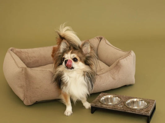 DOG BED DREAMER VELVET Yellow