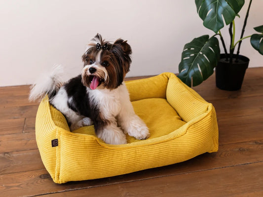DOG BED DREAMER VELVET Yellow